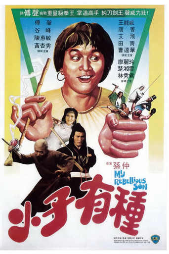 小子有种海报