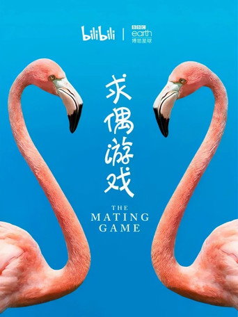求偶游戏海报