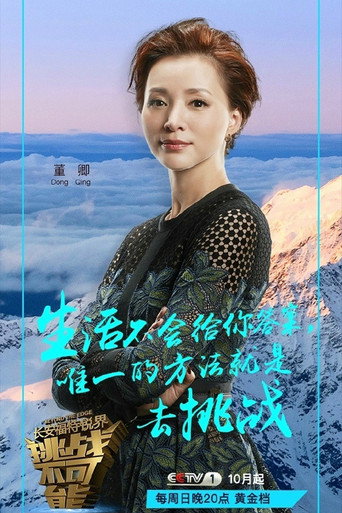 挑战不可能 第 2 季海报