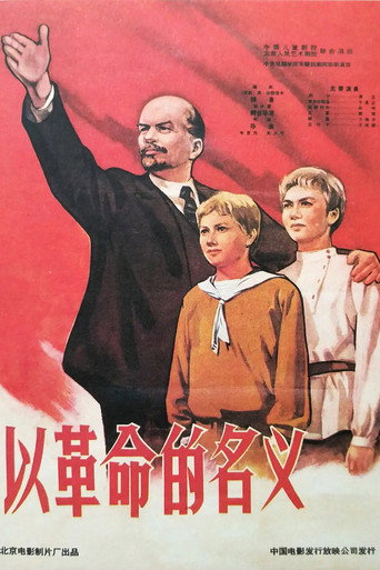 以革命的名义海报