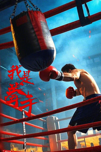 我是拳手海报