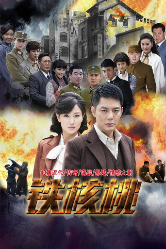 铁核桃海报
