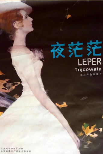 夜茫茫海报