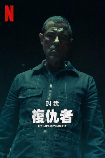 叫我复仇者海报