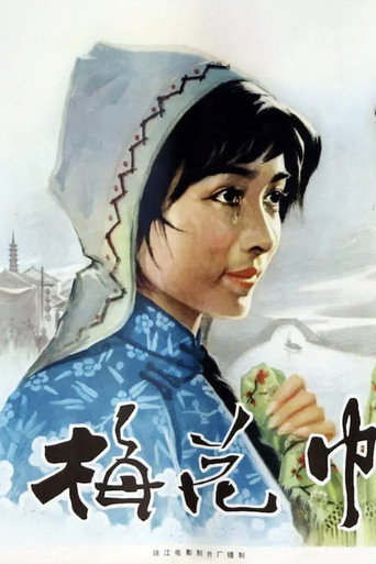 梅花巾海报