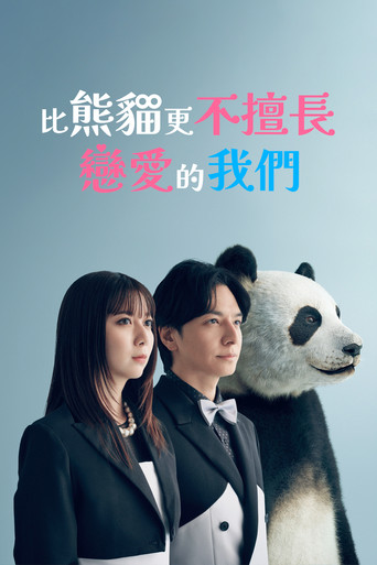 比熊猫更不擅长恋爱的我们海报