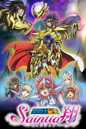 圣斗士星矢：圣斗少女翔海报