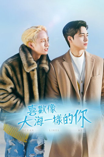 喜欢我的海海报