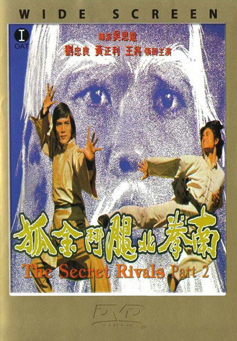 南拳北腿斗金狐海报