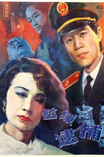 暂缓逮捕海报