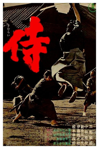 侍海报