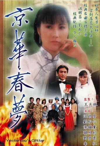 京华春梦海报