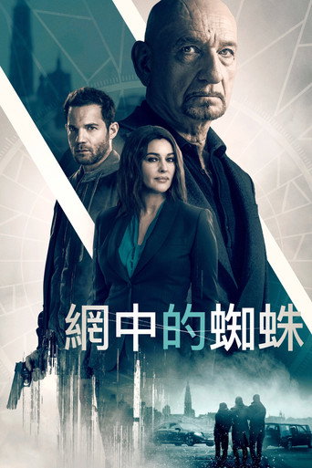网中蜘蛛海报