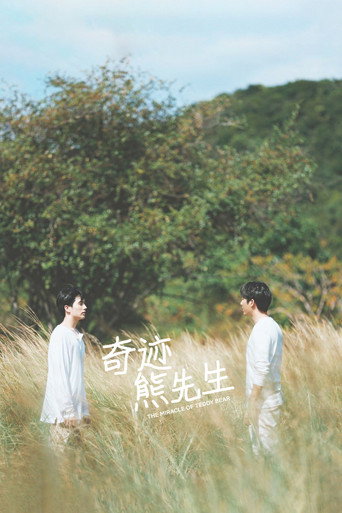 奇迹熊先生海报