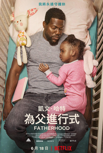 父亲的身份海报