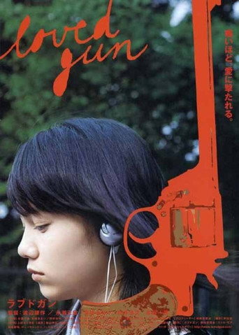 枪手之情海报