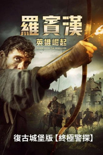 反抗者罗宾汉海报