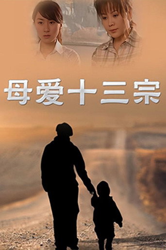 母爱十三宗海报