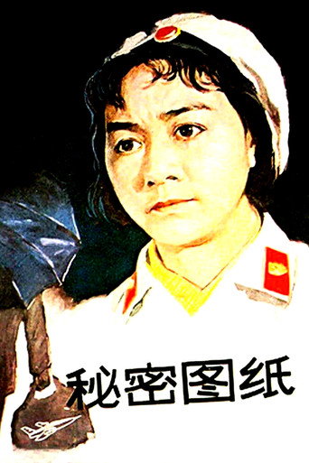 秘密图纸海报