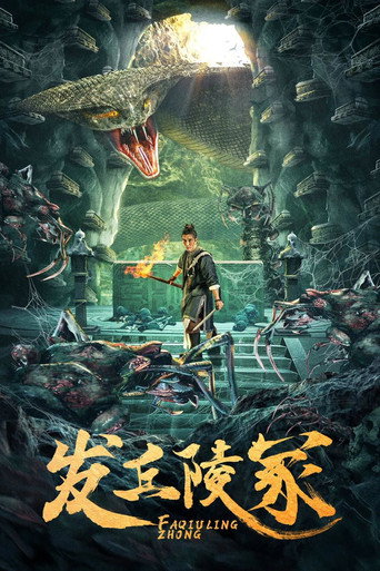 发丘陵冢海报