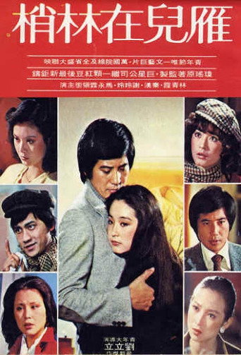雁儿在林梢海报