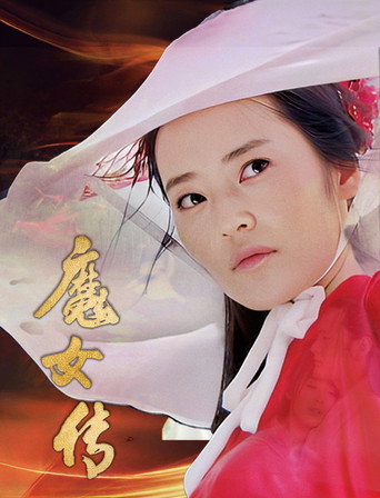 魔女传海报