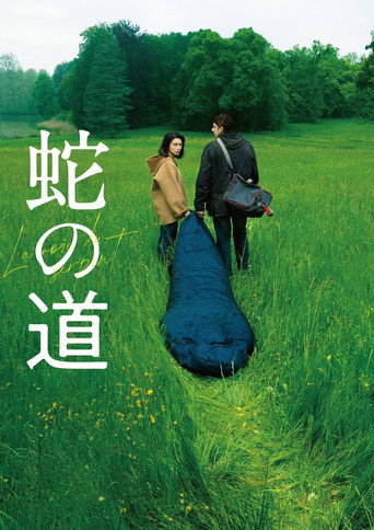 蛇之道海报