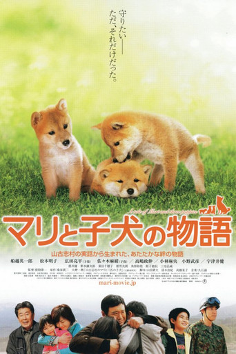 爱犬的奇迹海报