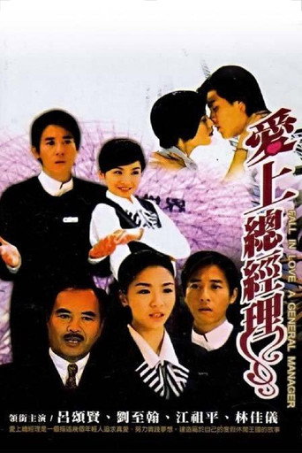 爱上总经理海报
