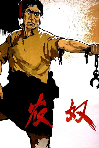 农奴海报