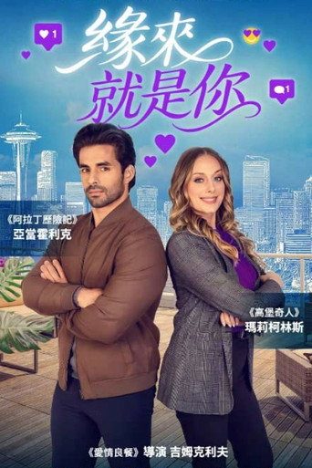一直都在那儿海报