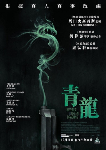 青龙复仇海报