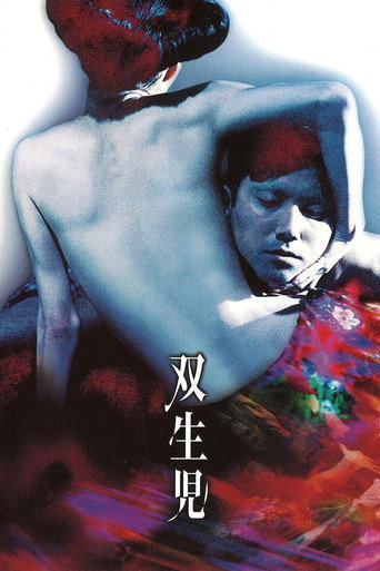 双生儿海报