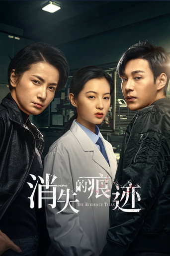 消失的痕迹海报