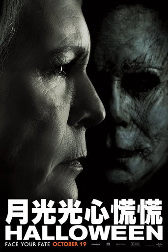 月光光心慌慌海报