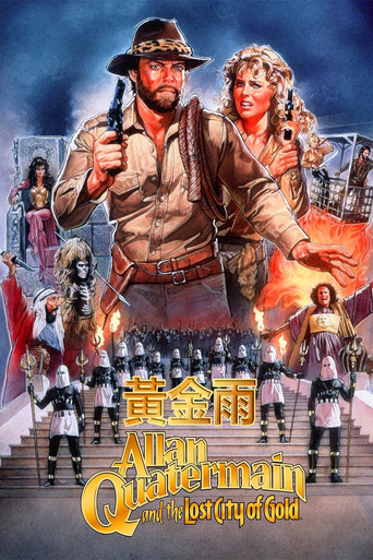 迷城宝藏海报