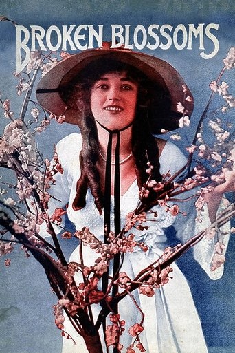 残花泪海报