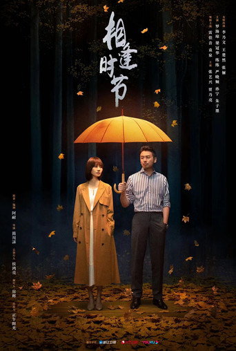 相逢时节海报