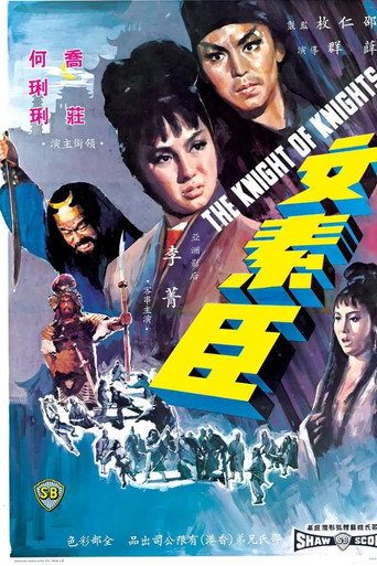文素臣海报
