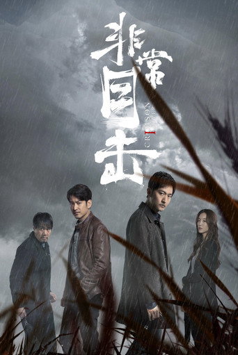 非常目击海报