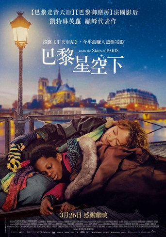 在巴黎的星空下海报