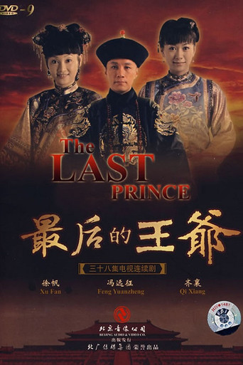 最后的王爷海报