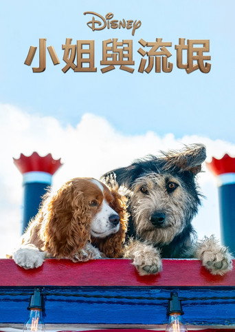 小姐与流浪汉海报