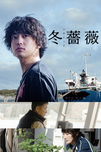 冬蔷薇海报