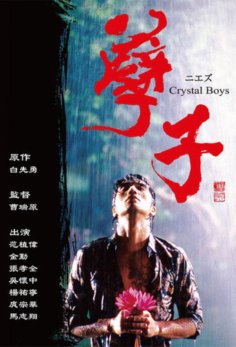 孽子海报