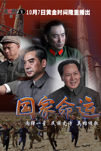 国家命运海报