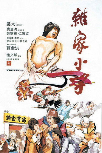 杂家小子海报