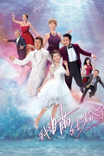 我瞒结婚了海报
