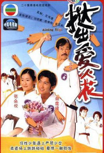 挞出爱火花海报