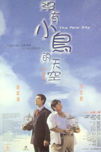 没有小鸟的天空海报